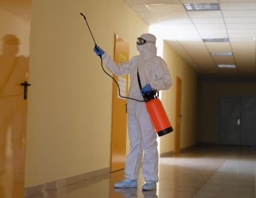 Are High-End Homes a Magnet for Pests?0 You Might Be Surprised